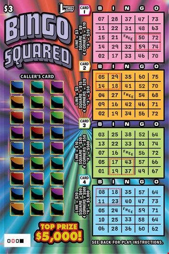 BINGO SQUARED